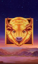 Buffalo's Sun 2